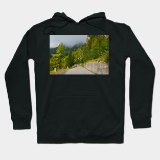 Autumn on the Slopes of Mangrt Hoodie